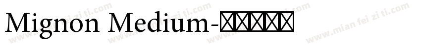 Mignon Medium字体转换